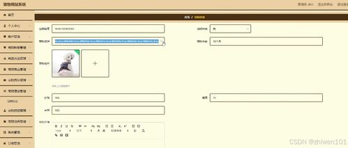 基于Node.js與Vue.js的寵物社區(qū)網(wǎng)站系統(tǒng) 計(jì)算機(jī)畢業(yè)設(shè)計(jì)與系統(tǒng)集成開發(fā)實(shí)踐